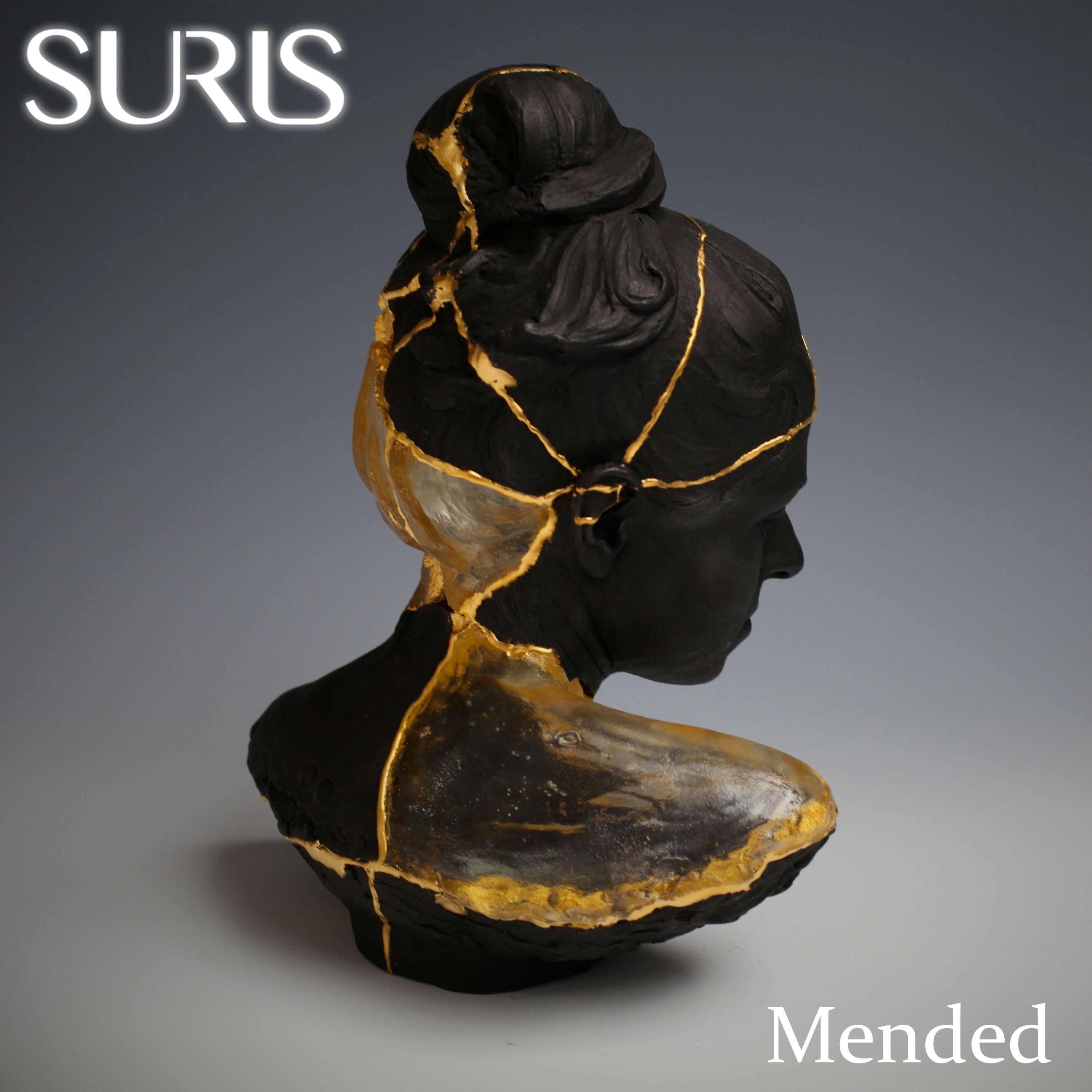 Cover art for Mended by Suris