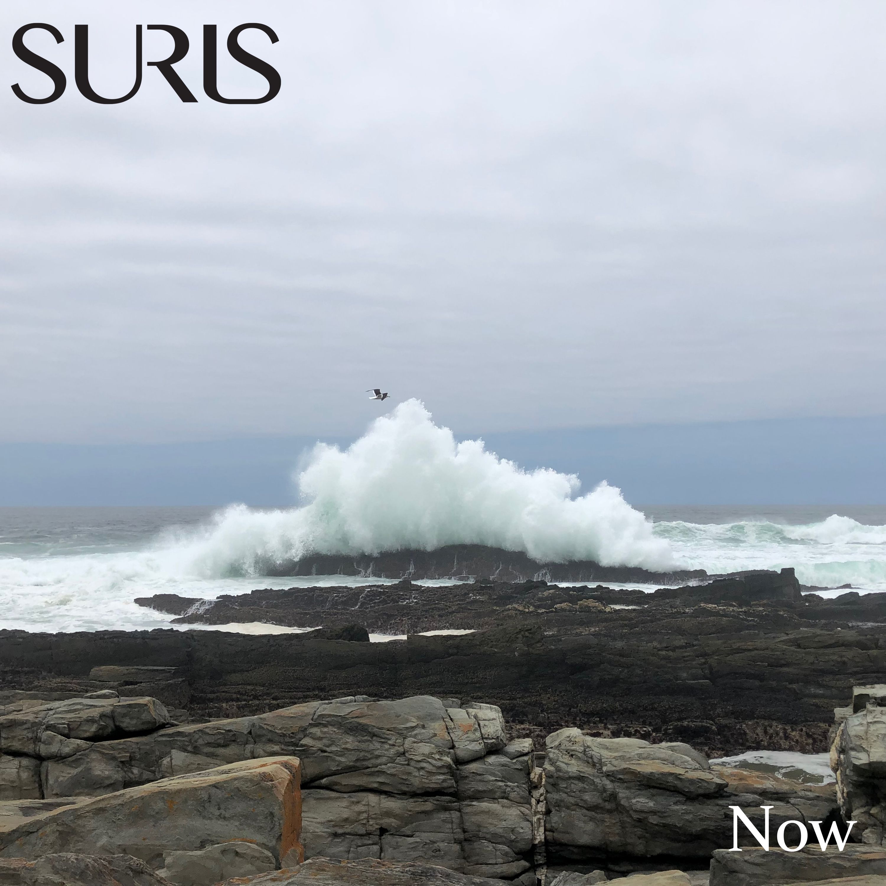 Cover art for Now by Suris