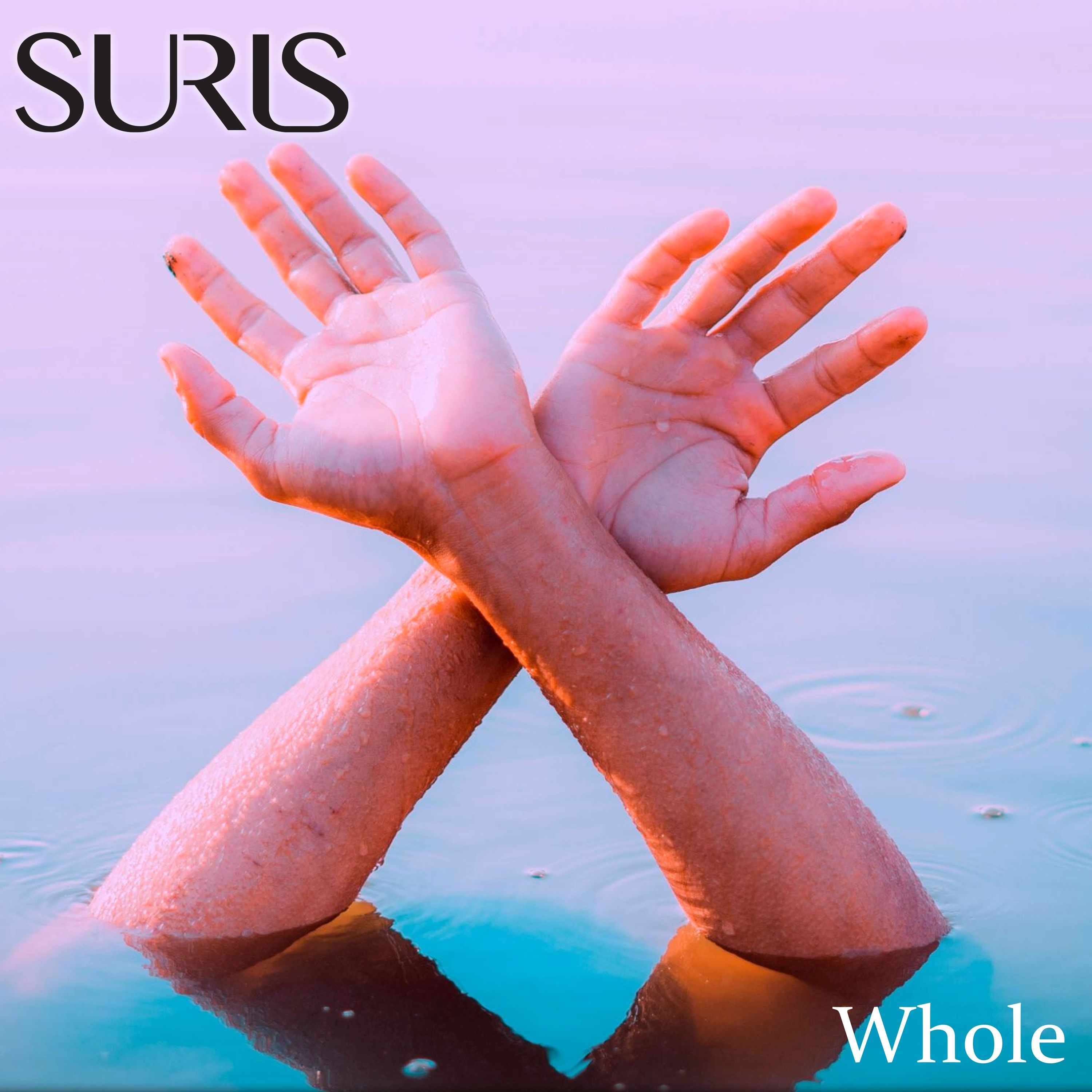 Cover art for Whole by Suris