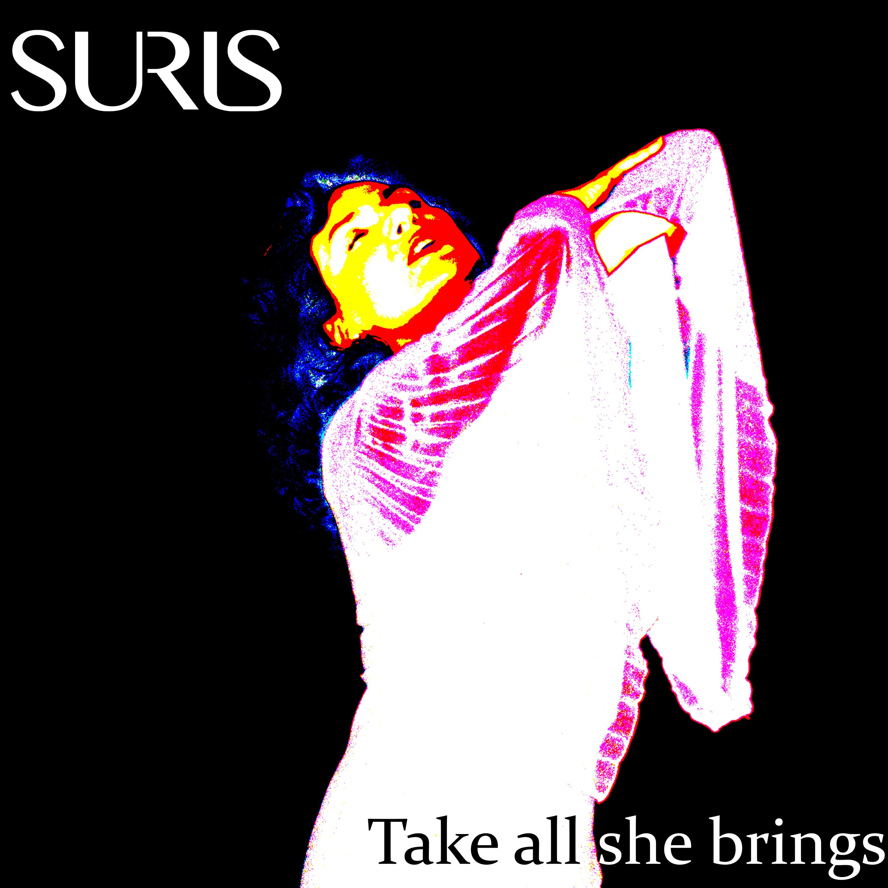 Cover art for Take All She Brings by Suris