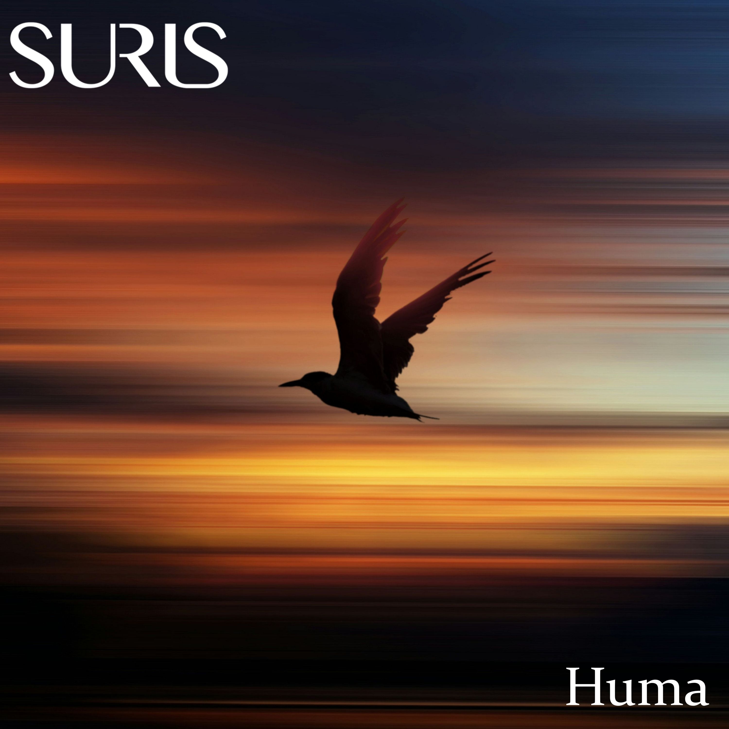 Cover art for Huma by Suris