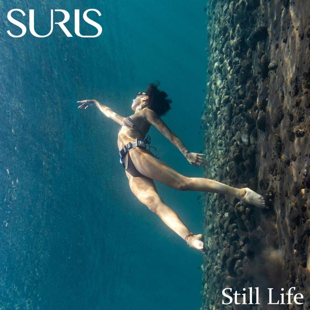 Still Life by Suris