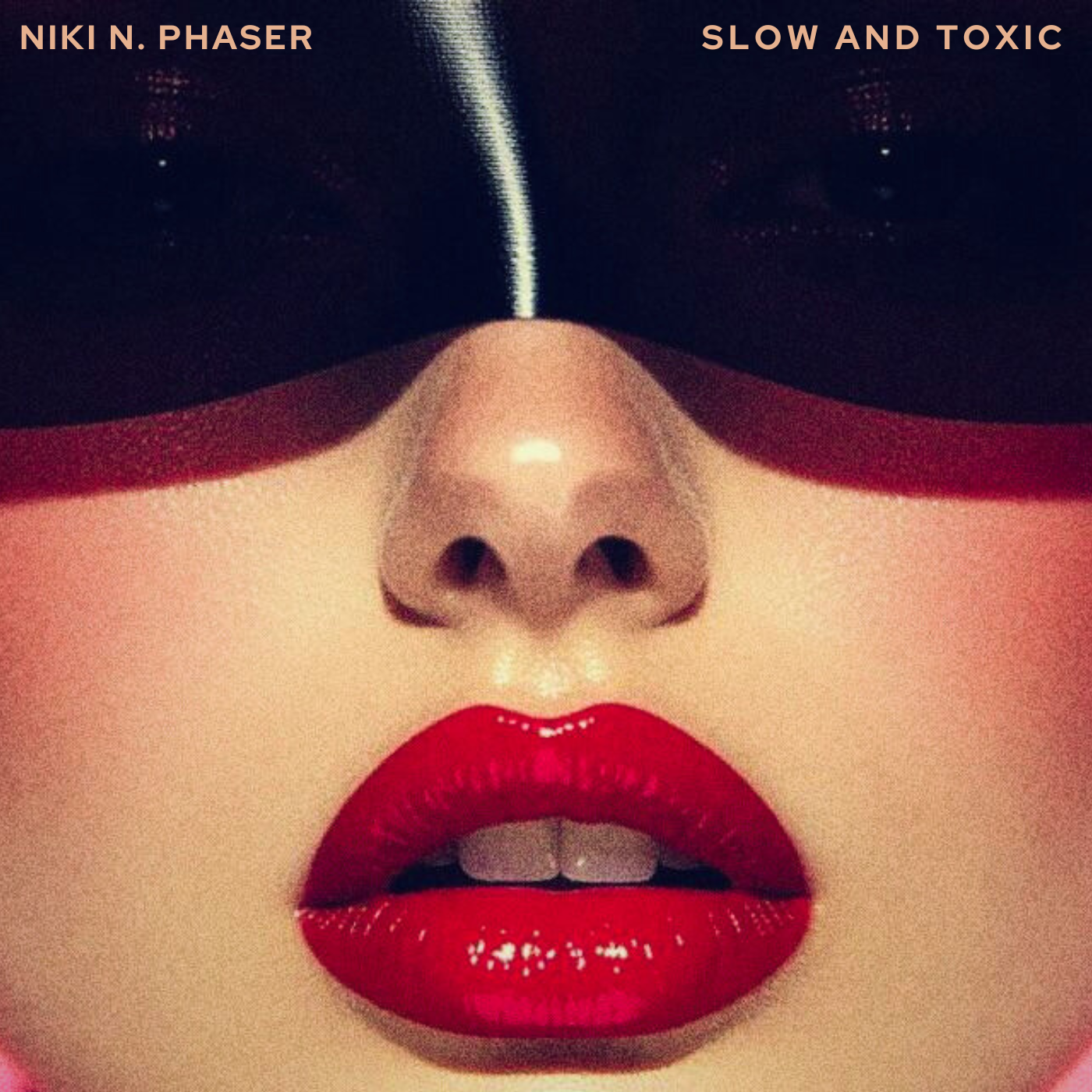 She Is the Danger by Niki N. Phaser