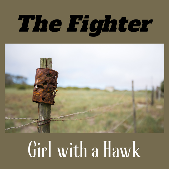 The Fighter by Girl with a Hawk