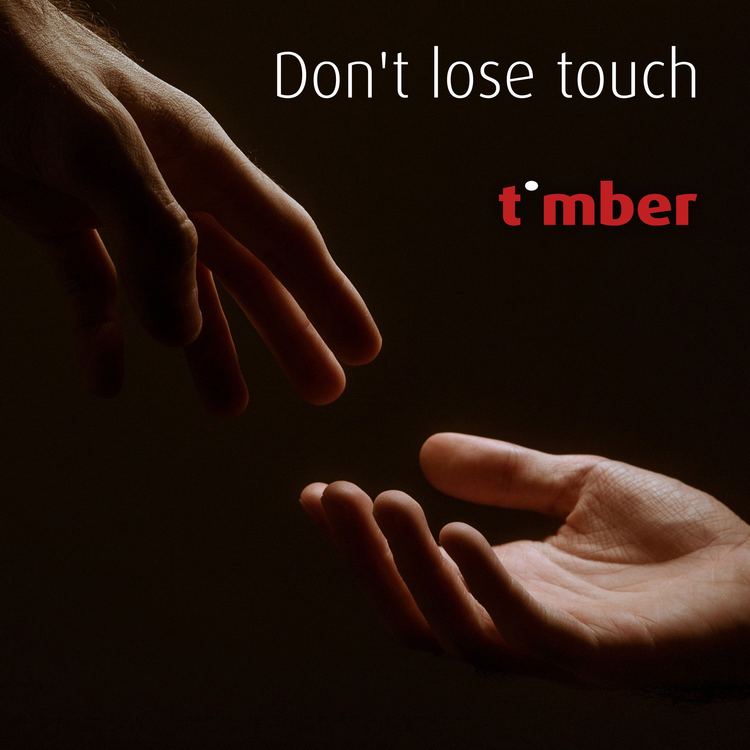 Cover art for Don´t lose touch (2025 version) by timber