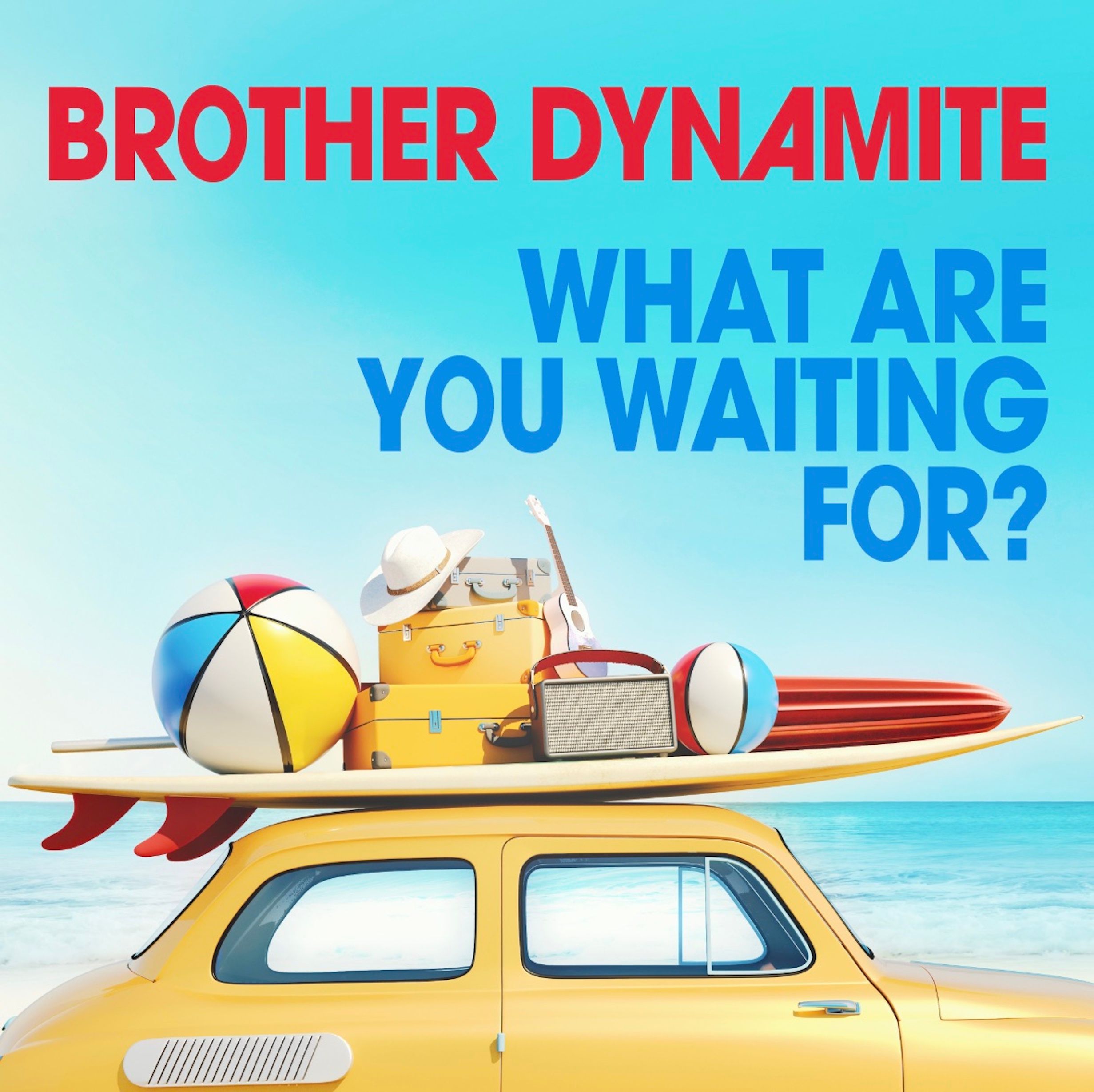 Cover art for What Are You Waiting For? by Brother Dynamite