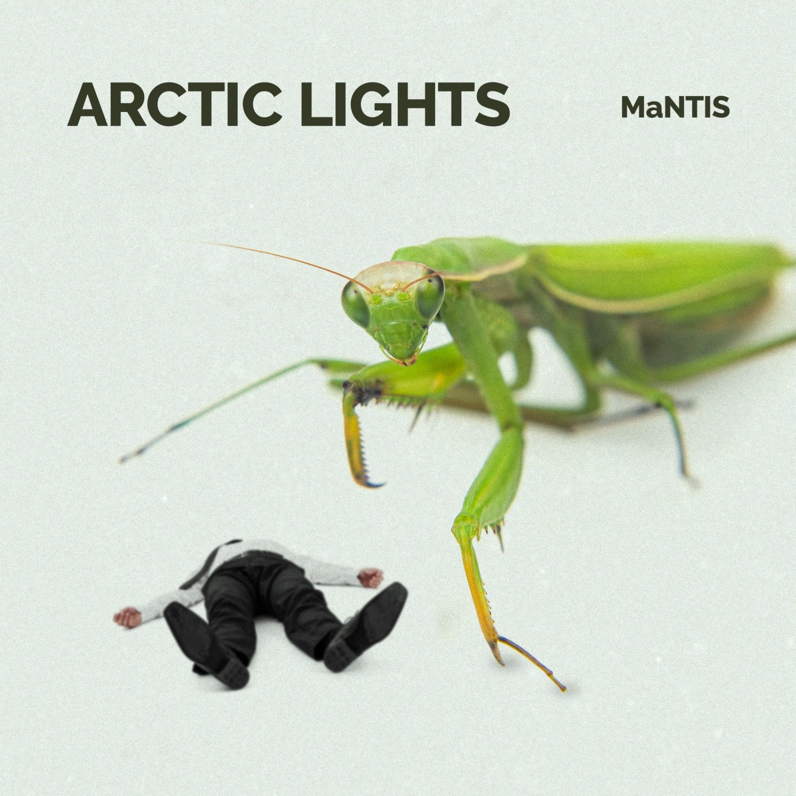 Cover art for MaNTIS by Arctic Lights