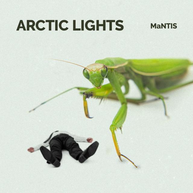 MaNTIS by Arctic Lights