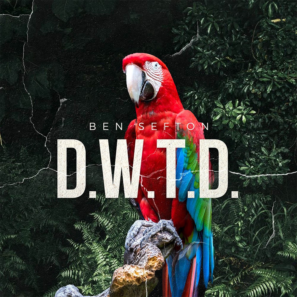 Cover art for DWTD by Ben Sefton