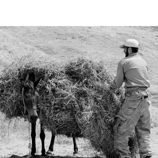 Carry the Load by Marshall Sidbury