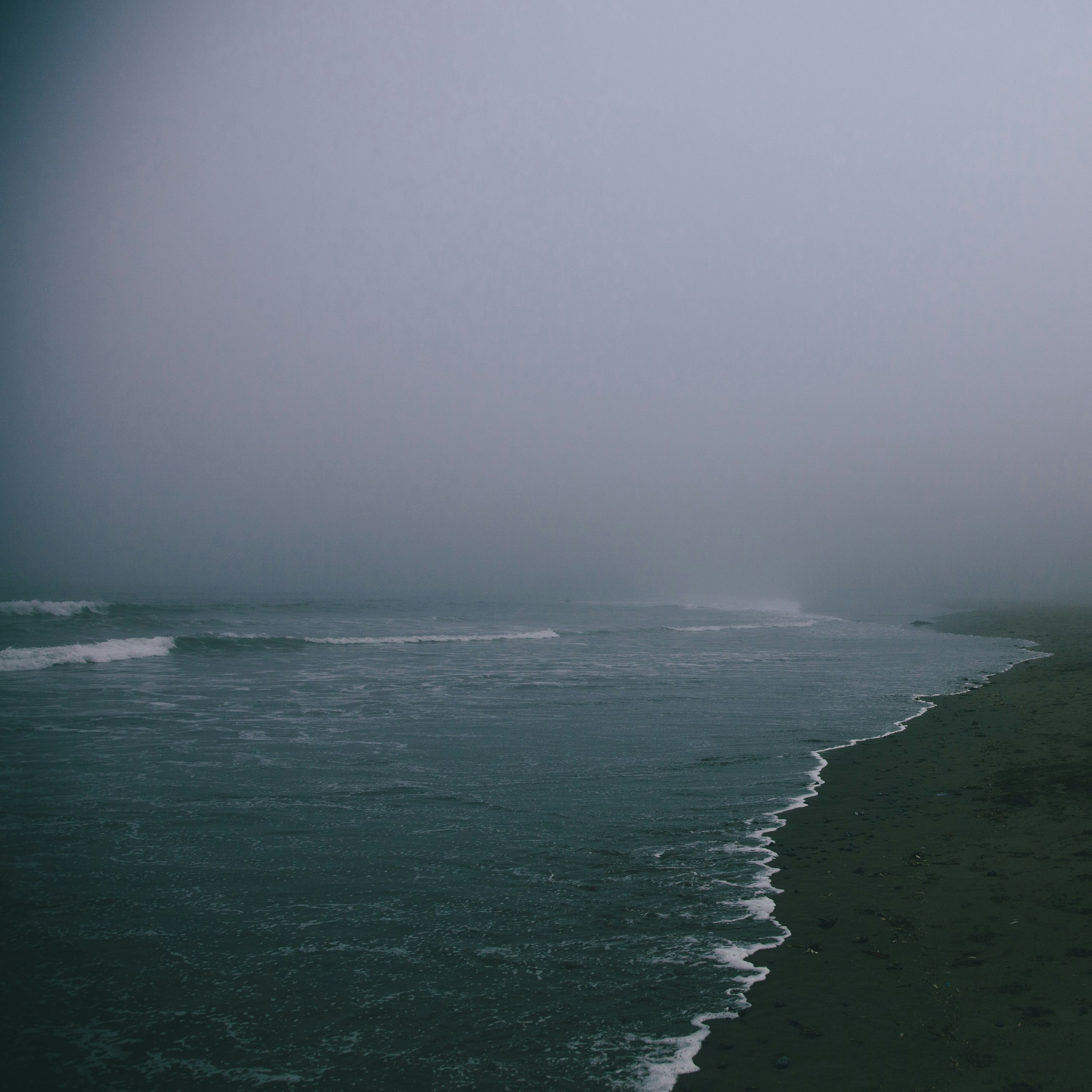 Cover art for Moving Shore by Stella Wahlström