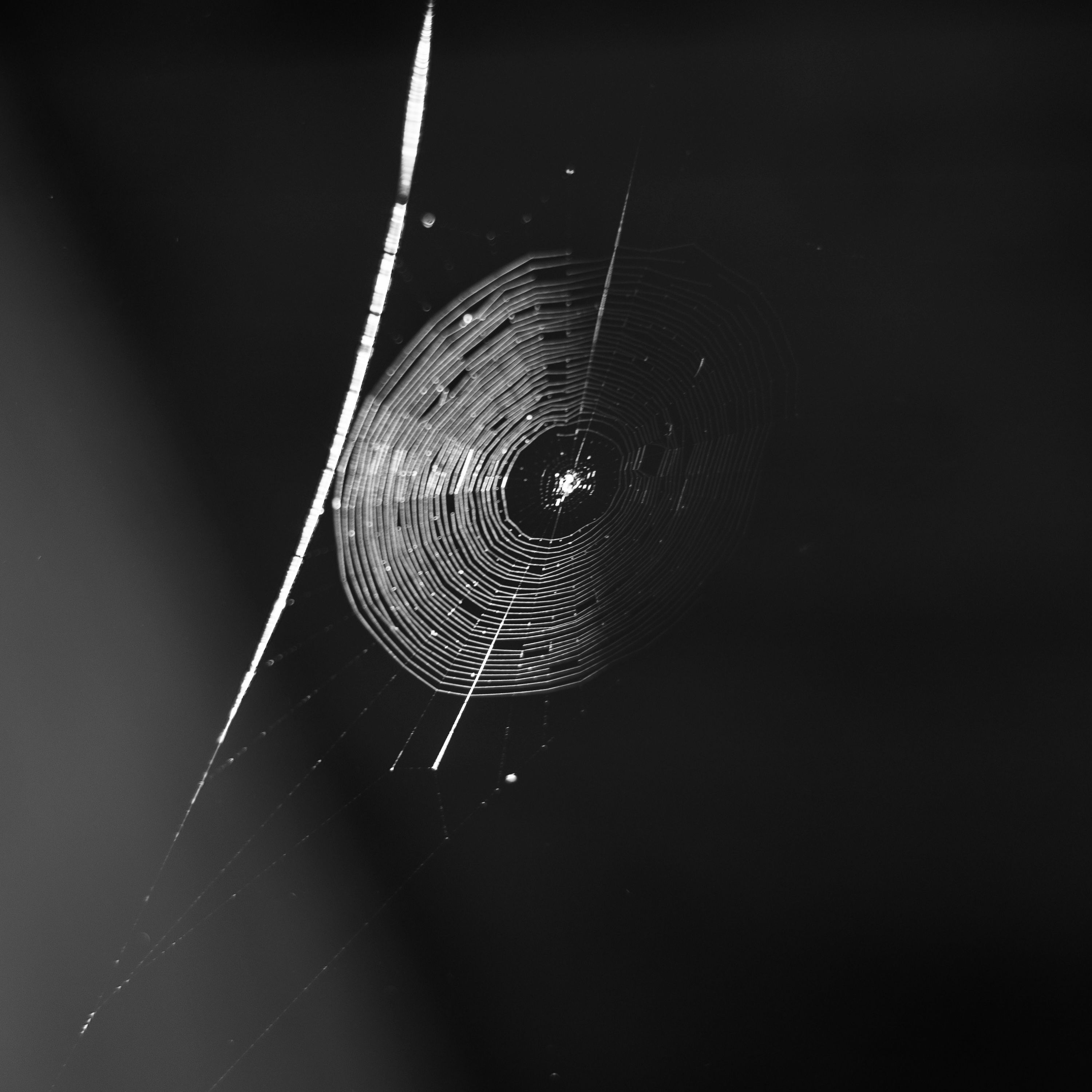 Cover art for Slowly Spinning Wheel by Stella Wahlström