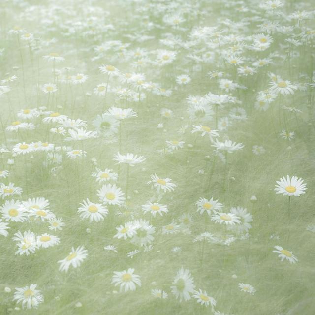 Drömde mig by Home Sweet Somewhere