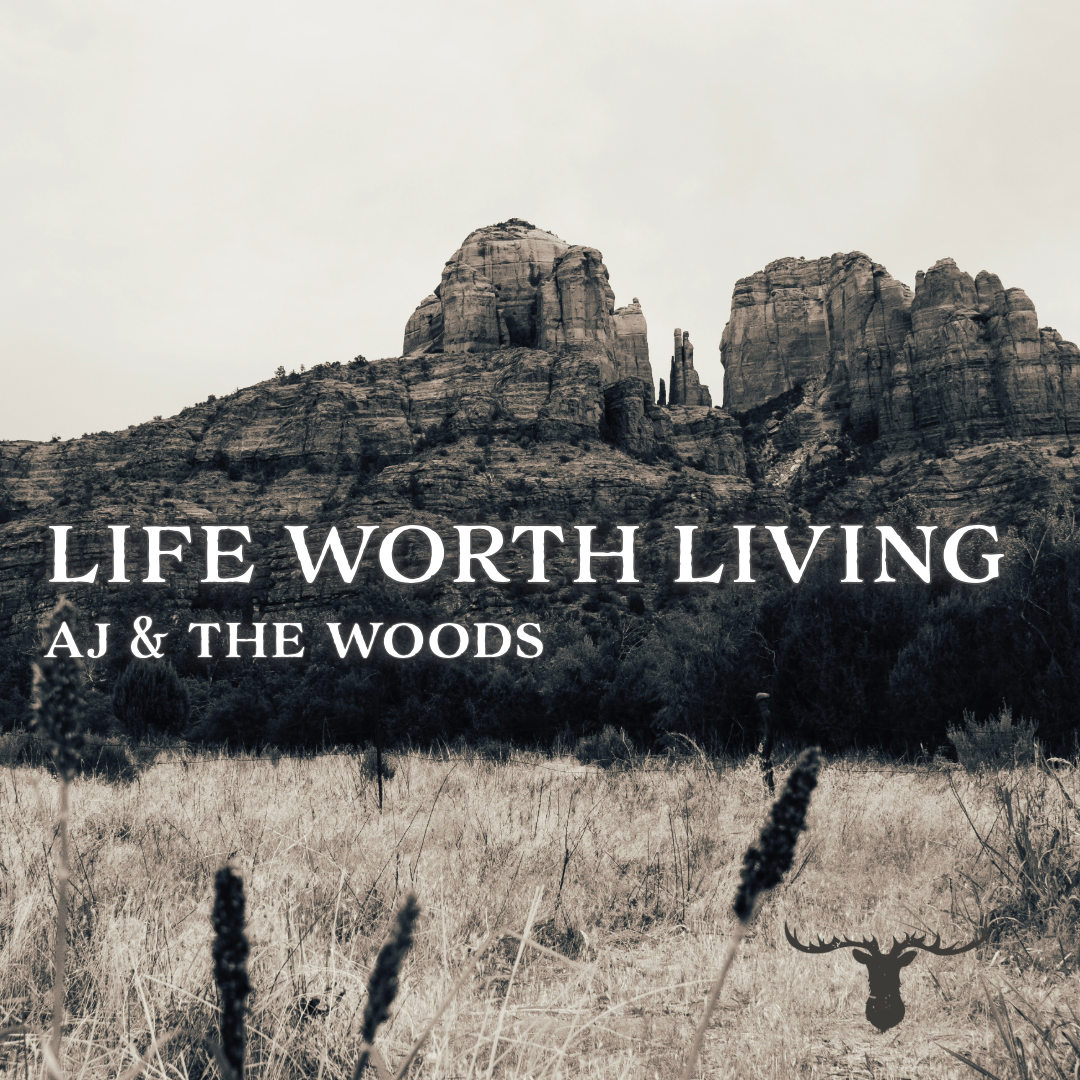 Cover art for Life Worth LIving by AJ & The Woods