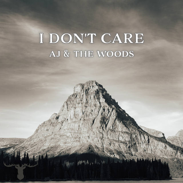 I Don't Care by AJ & The Woods