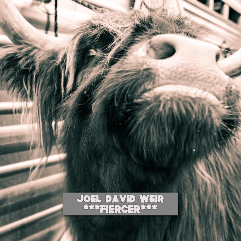 Cover art for Don't Make It A Thing by Joel David Weir