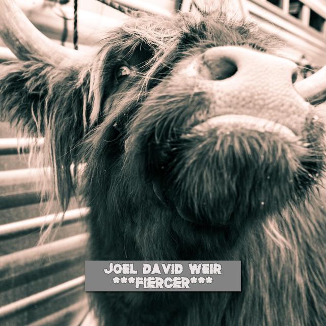 Don't Make It A Thing by Joel David Weir