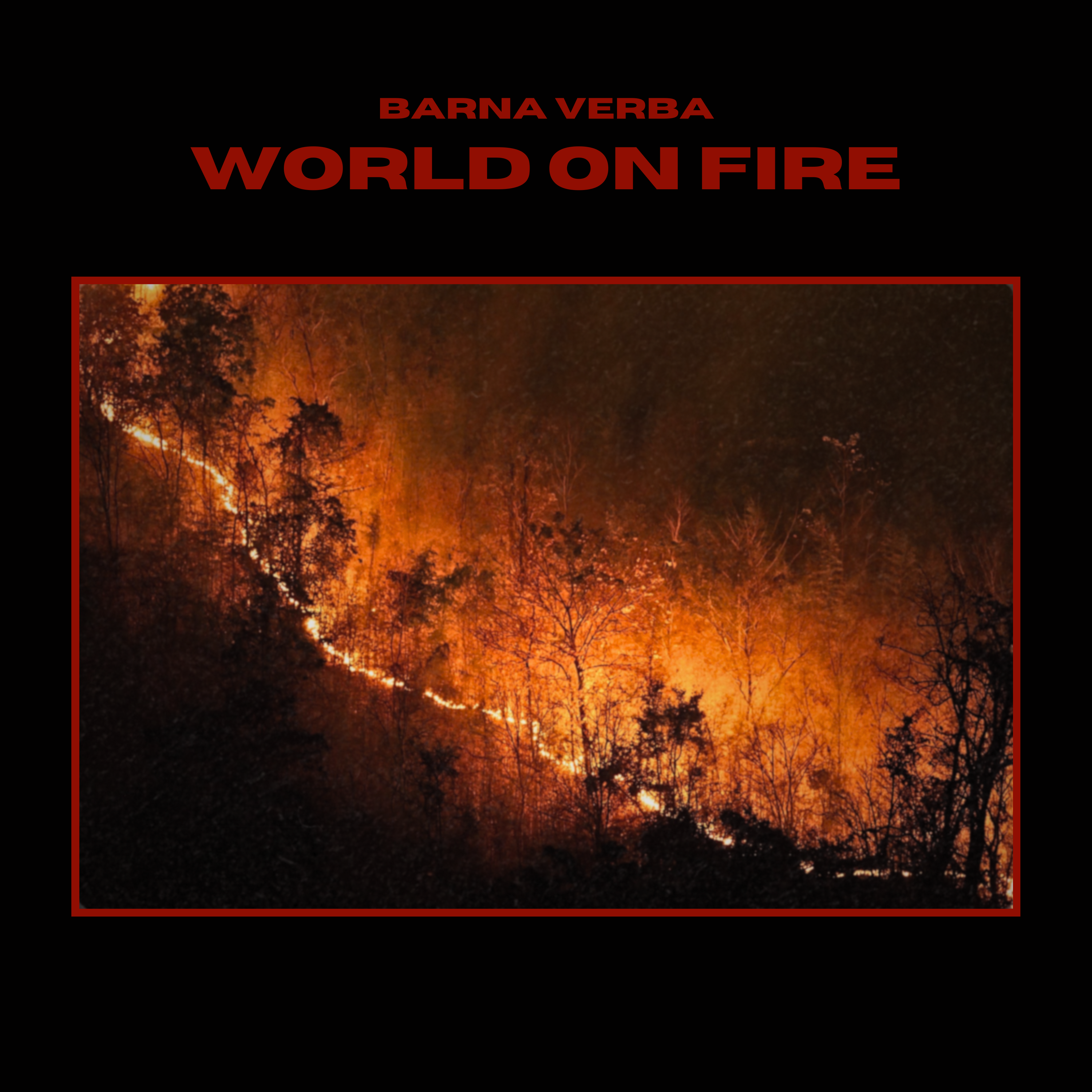 Cover art for World On Fire by Barna Verba