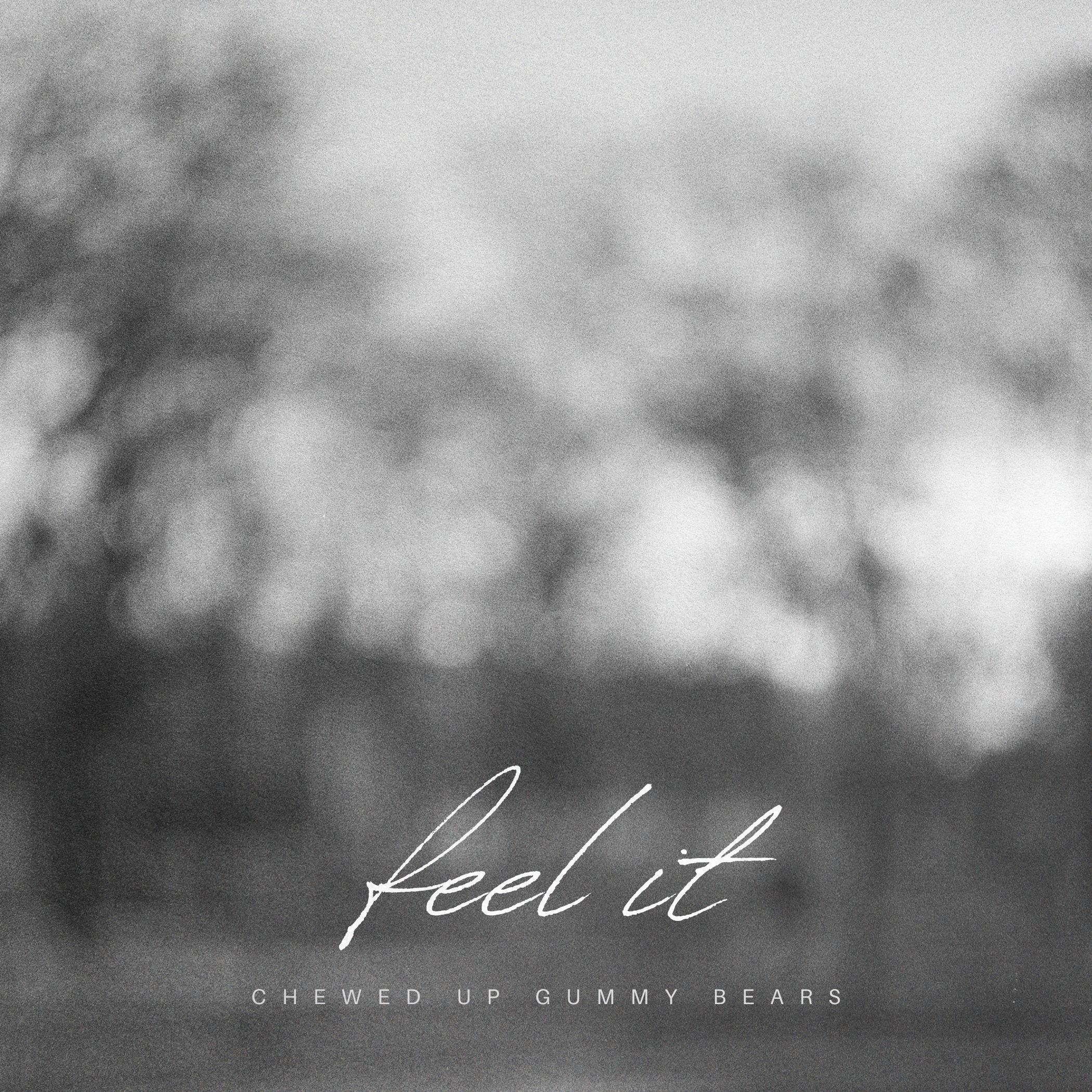 Cover art for Feel It by Chewed Up Gummy Bears