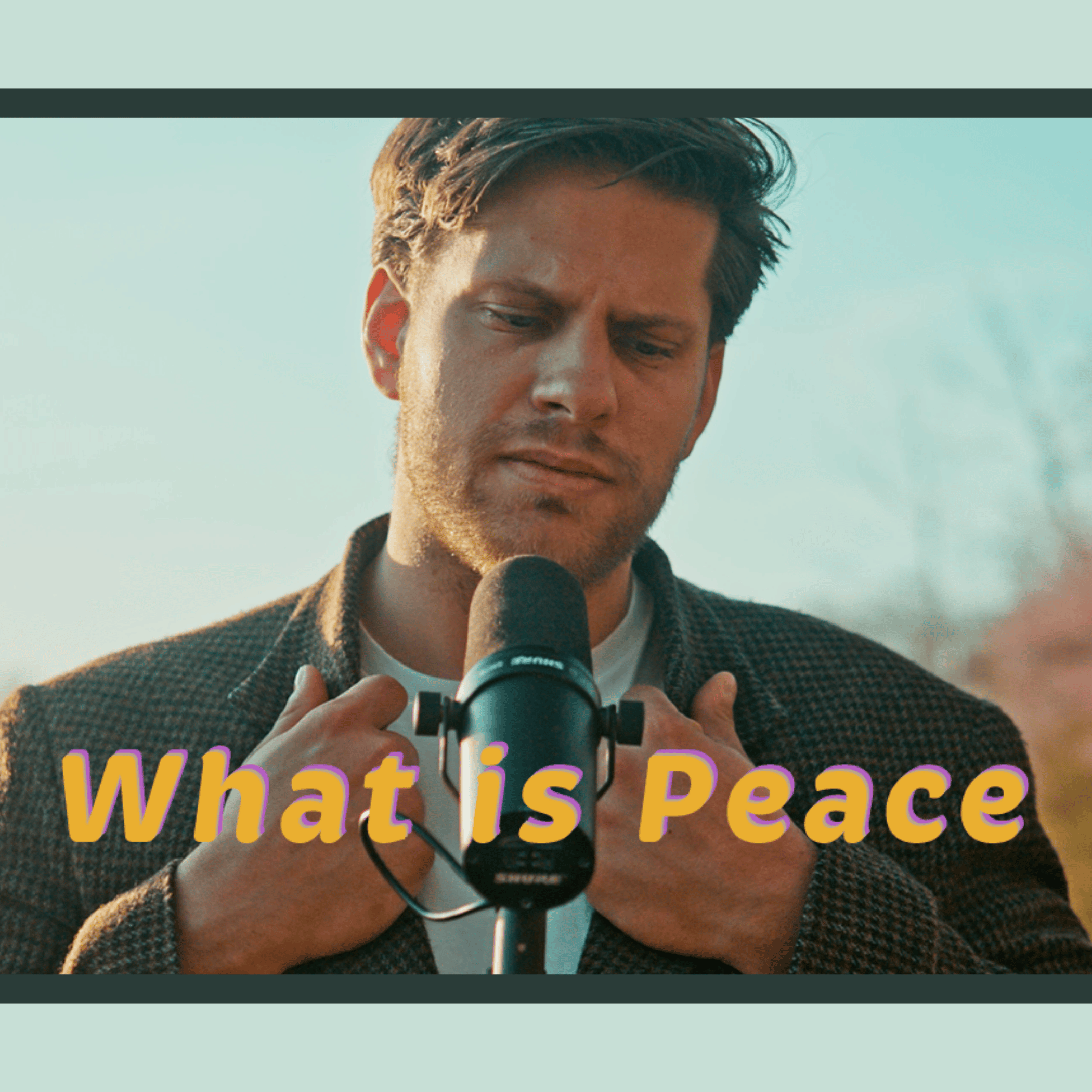 Cover art for What Is Peace by Barna Verba