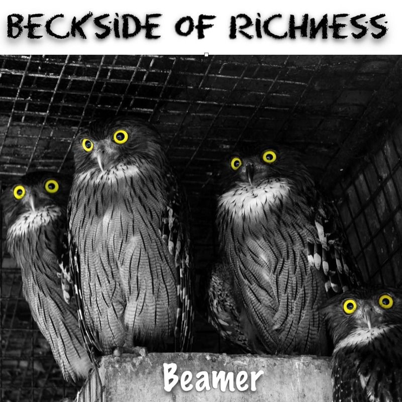 Cover art for Beamer - SOLO (instrumental) by Beckside of Richness