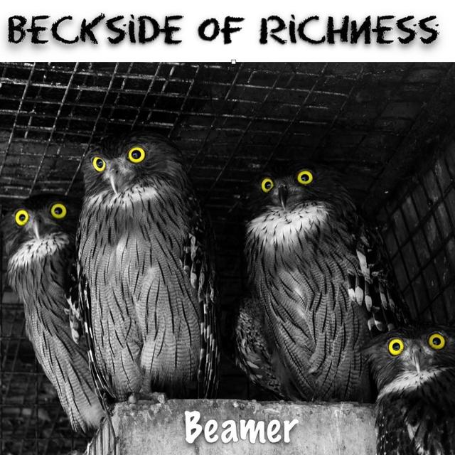 Beamer - SOLO (instrumental) by Beckside of Richness